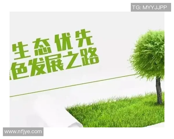 北京排球队的转型之路：从传统强队到现代化竞技新标杆解析